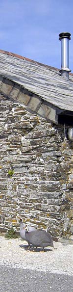 Tregardock of Caradoc